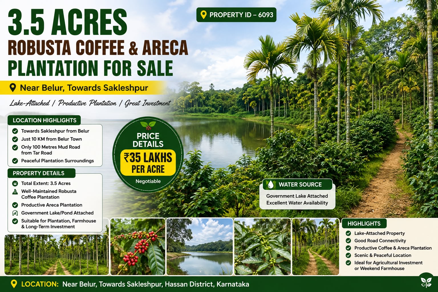🆔 *PROPERTY ID – 6093* 🌴🌿 *3.5 Acres Robusta Coffee & Areca Plantation for Sale – Near Belur, Towards Sakleshpur